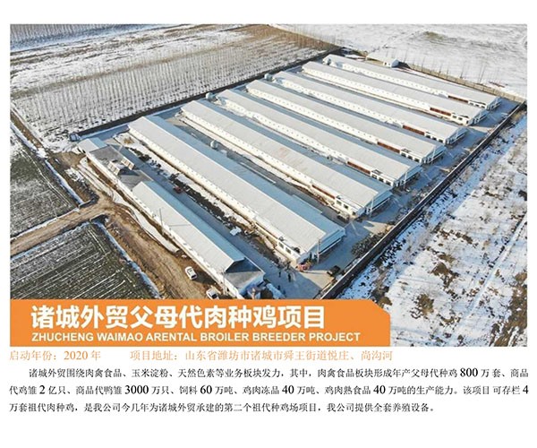 Zhucheng Foreign Trade parents Breeders Project