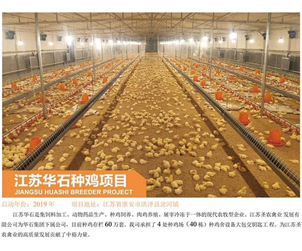 Jiangsu Huashi breeding Chicken Project