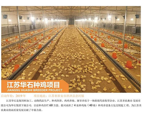 Jiangsu Huashi breeding Chicken Project