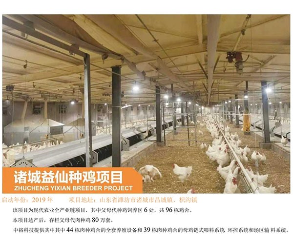 Zhucheng Yixian Chicken breeding Project