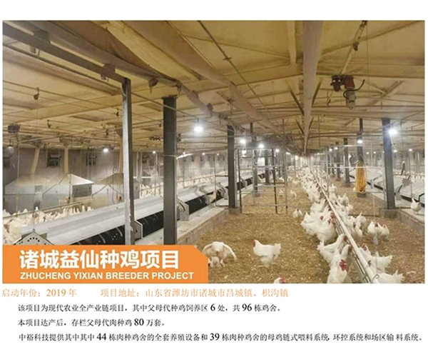 Zhucheng Yixian Chicken breeding Project