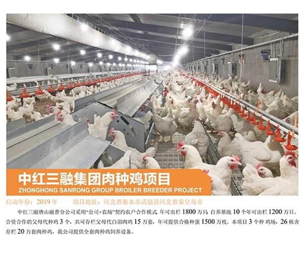 中红三融集团肉种鸡项目