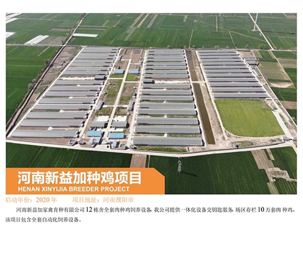 Henan Xinyi plus breeder project