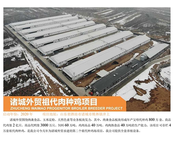 Zhucheng Foreign Trade ancestral Broiler Breeders Project