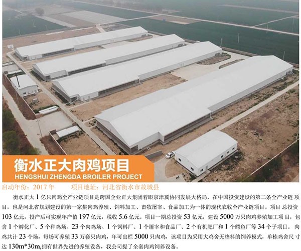 Hengshui Zhengda broiler project