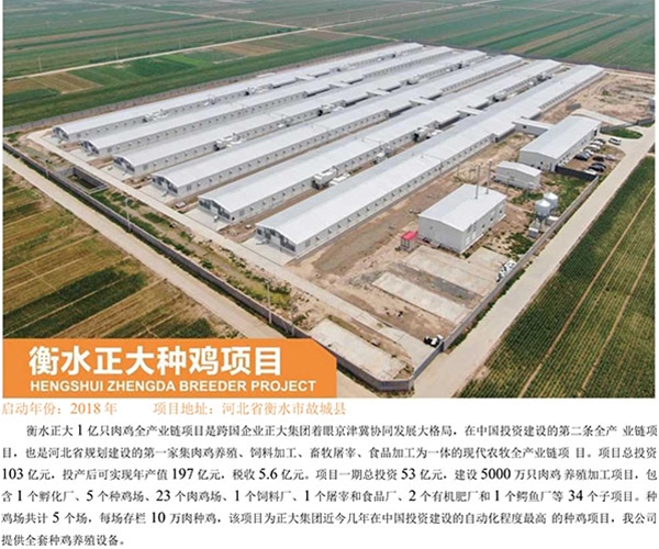 Hengshui Zhengda chicken breeding project