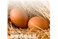 蛋鸡养殖设备可以提供适宜的温湿度