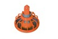 The emergence of chicken farming equipment also indicates the improvement of people's social level