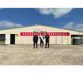 Zhongyu Overseas cage-free laying chicken project was successfully delivered