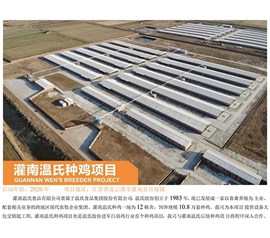 Guan Nan Wen's breeding chicken project