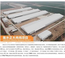 Hengshui Zhengda chicken project
