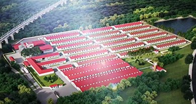 Project Direct Strike | Dalian Green Snow Non captive Breeding Phase II Project Completed and Put into Production