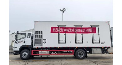 中裕新款鸡苗运输车首次走出国门！