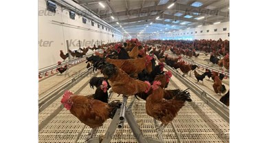 中裕与爱禽社联合主办第六届散养鸡创新创业交流大会，邀您共赴盛会