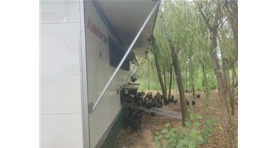 可移动非笼养鸡舍发展林下养殖，助力林下经济