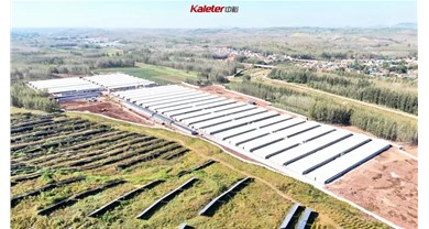 中裕承建33栋标准化肉种鸡项目即将完工！