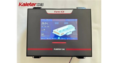 高温季养鸡少踩坑，中裕禽舍环控设备来助力