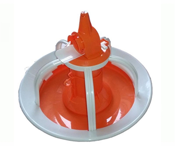 Duck and goose dish