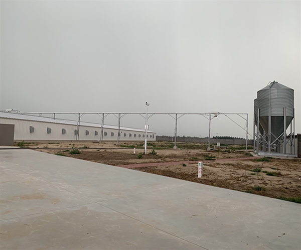 Hengshui CP Group